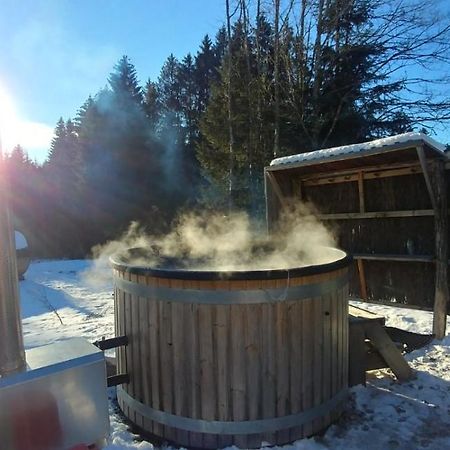 Chalet de Martimprey - Chalets - Gites - Chambres d' Hôtes et SPAS Gérardmer Extérieur photo