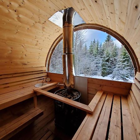 Chalet de Martimprey - Chalets - Gites - Chambres d' Hôtes et SPAS Gérardmer Extérieur photo