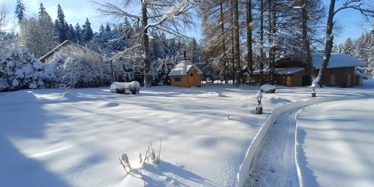 Chalet de Martimprey - Chalets - Gites - Chambres d' Hôtes et SPAS Gérardmer Extérieur photo
