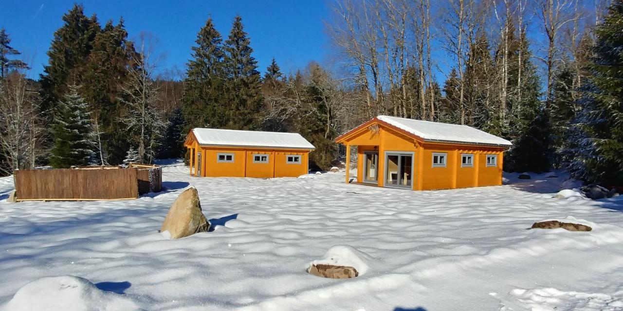 Chalet de Martimprey - Chalets - Gites - Chambres d' Hôtes et SPAS Gérardmer Extérieur photo