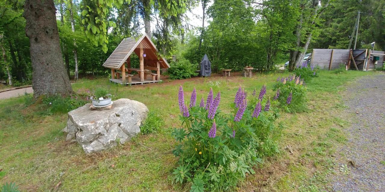 Chalet de Martimprey - Chalets - Gites - Chambres d' Hôtes et SPAS Gérardmer Extérieur photo