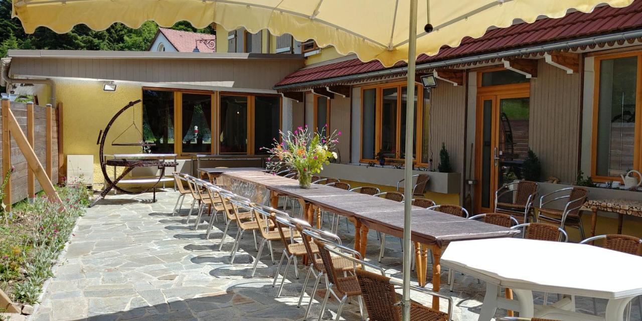 Chalet de Martimprey - Chalets - Gites - Chambres d' Hôtes et SPAS Gérardmer Extérieur photo